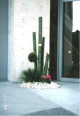 kadomatsu.gif